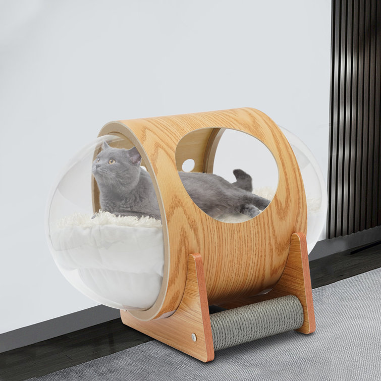 Cat hotsell bubble bed